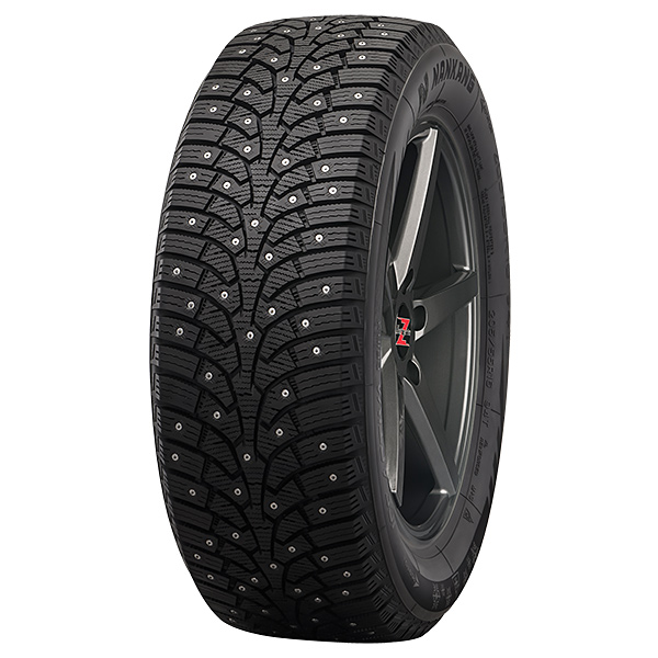 225/40R18 92T NANKANG SW-9