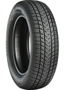 205/40R17 84V GRIPMAX SUREGRIP EWINTER XL