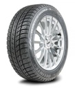 215/55R17 94T DELINTE WINTER WD52